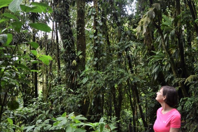 1Mistico Hanging Bridges 136