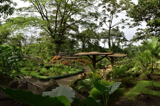 1Mistico Hanging Bridges 23