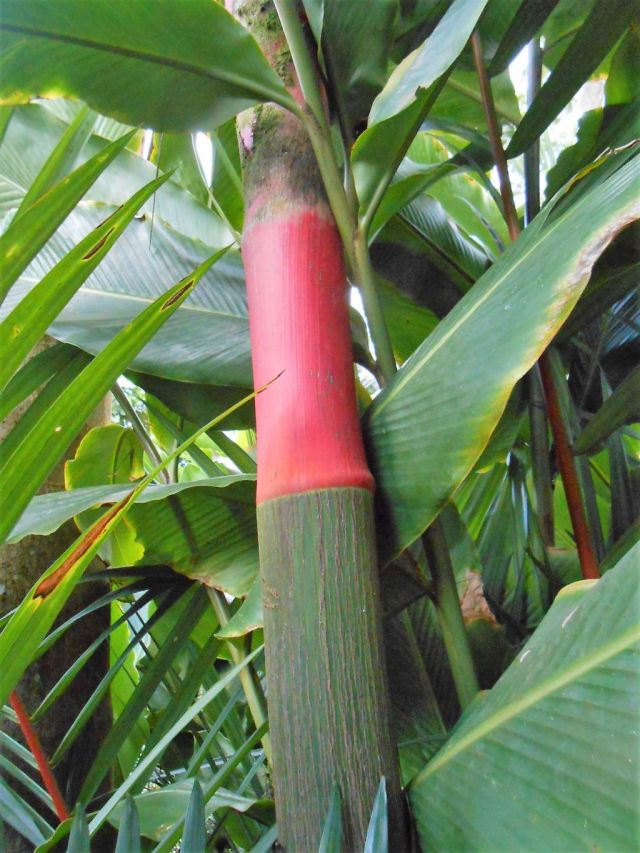 1Paradise Hot Springs 95