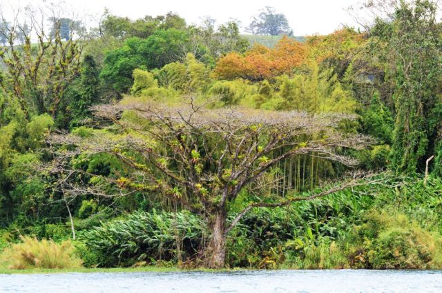 1Resa La Fortuna - Monteverde 28