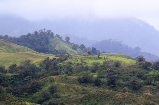 1Resa La Fortuna - Monteverde 33