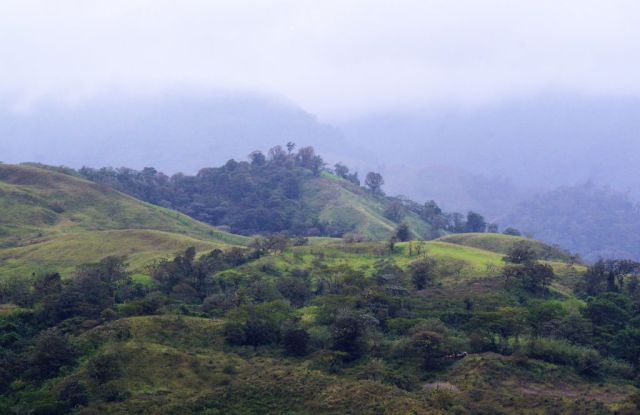 1Resa La Fortuna - Monteverde 40