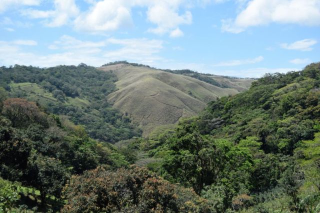 1Resa La Fortuna - Monteverde 52