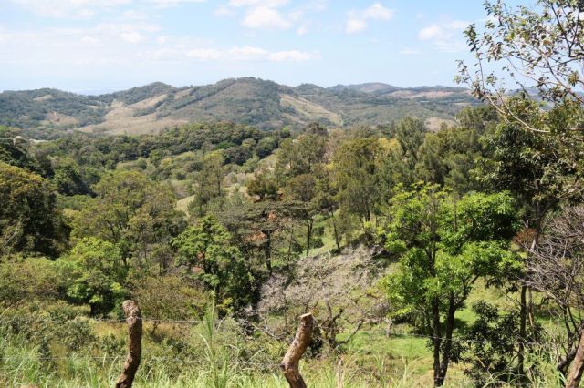 1Resa La Fortuna - Monteverde 55