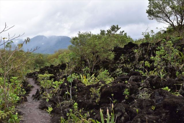 1Vulkanvandring Arenal 128