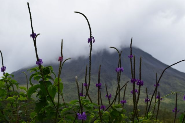 1Vulkanvandring Arenal 18