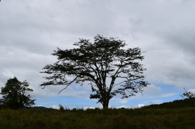 1Vulkanvandring Arenal 26