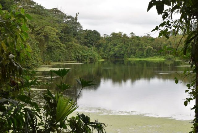 1Vulkanvandring Arenal 50