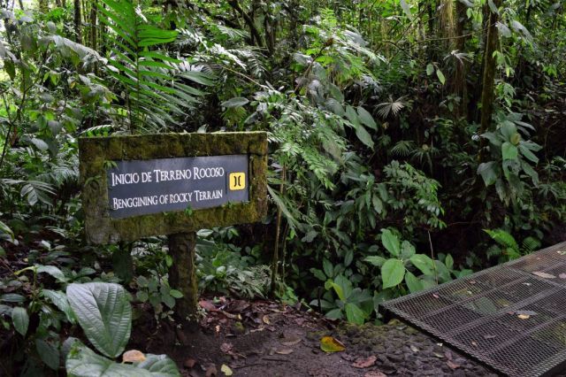 1Vulkanvandring Arenal 60