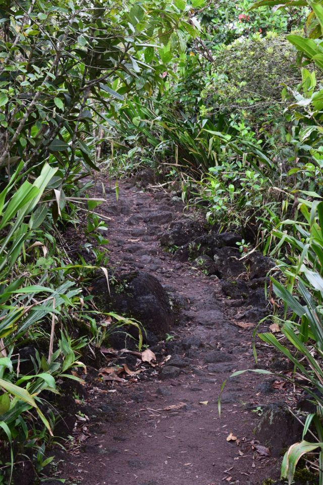 1Vulkanvandring Arenal 88