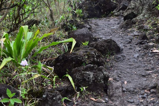 1Vulkanvandring Arenal 99