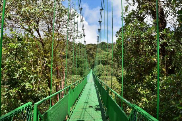 4Hanging Bridges 99