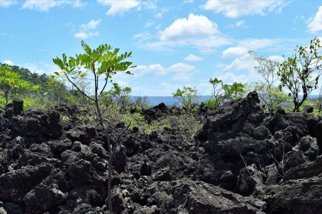 6Masaya Vulcano National Park 84