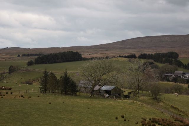 9Causeway Coastal Route 3