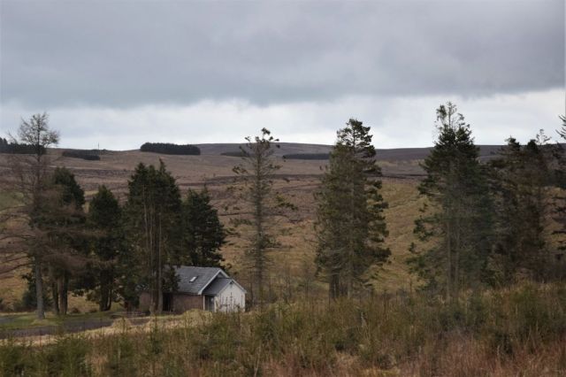 9Causeway Coastal Route 4