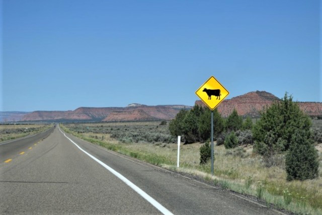 1Resa Page - Bryce Canyon 18