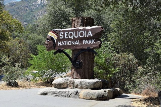 1Sequoia National Park 0