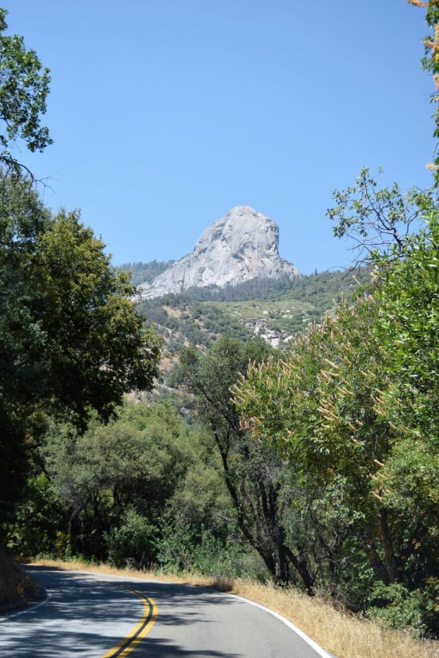 1Sequoia National Park 9