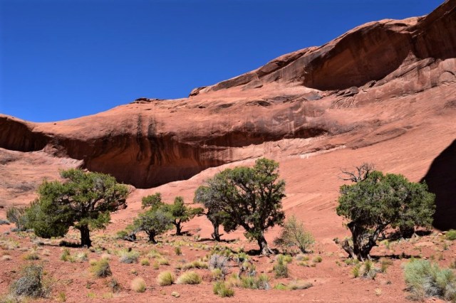 37Monument Valley 26