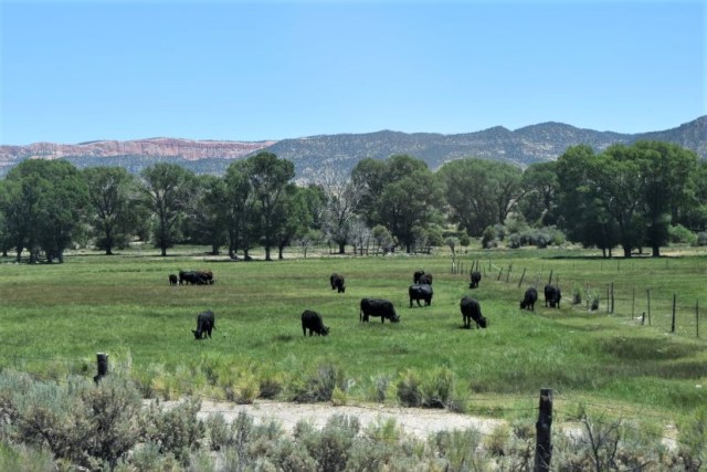 3Resa Page - Bryce Canyon 3