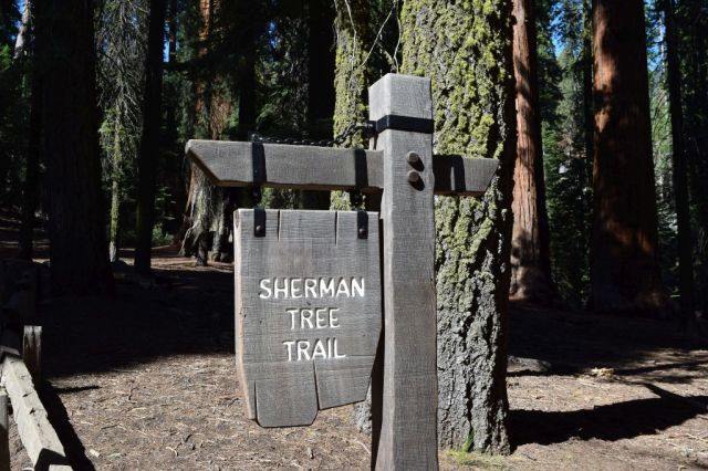 3Sequoia National Park 35