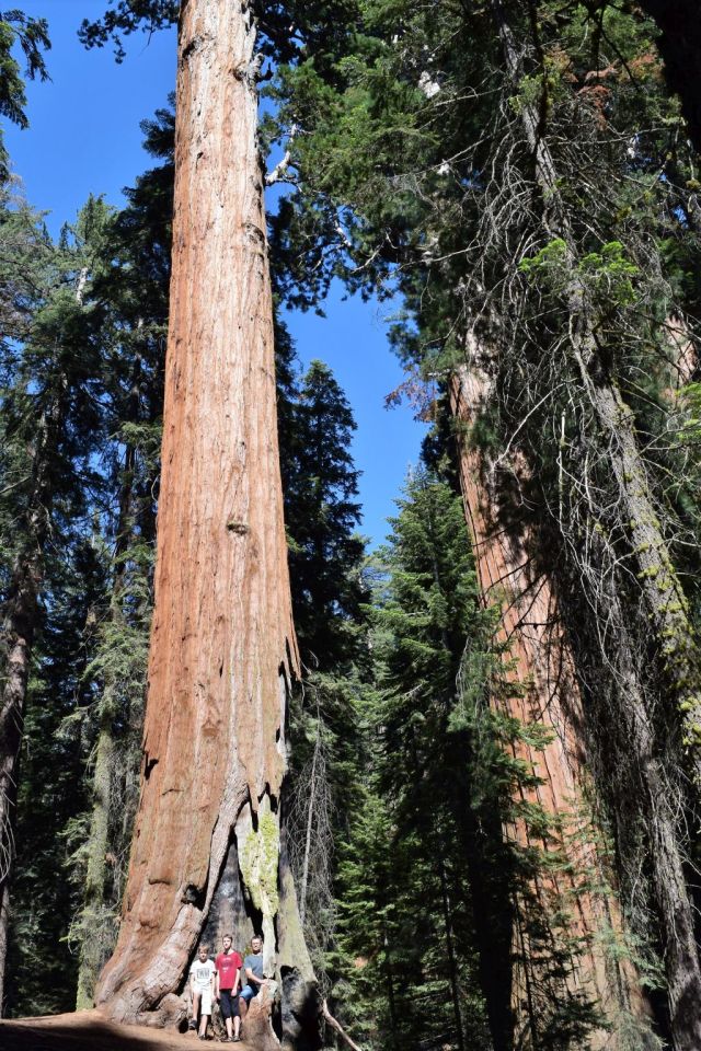 3Sequoia National Park 7
