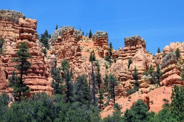 4Resa Page - Bryce Canyon, Red Canyon 1