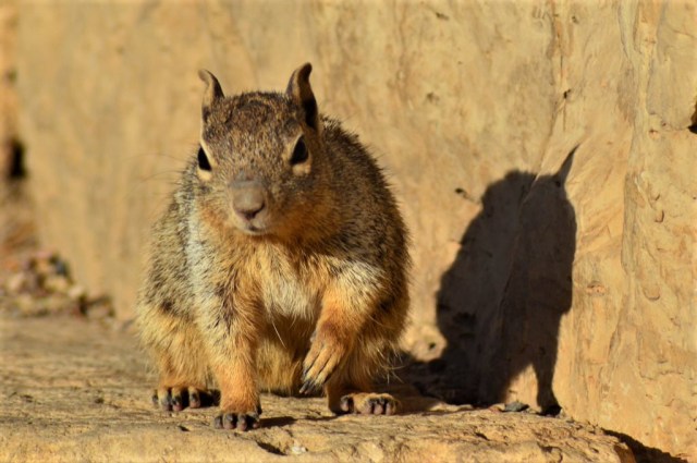 4Soluppgång, Mather Point 165