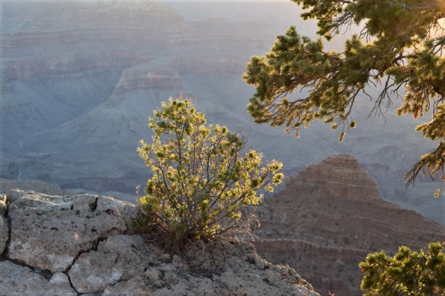4Soluppgång, Mather Point 62