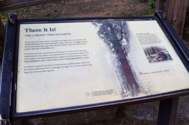 5Sequoia National Park, General Sherman 1