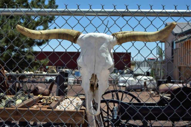 6Resa Kingman - Grand Canyon, Valle 4