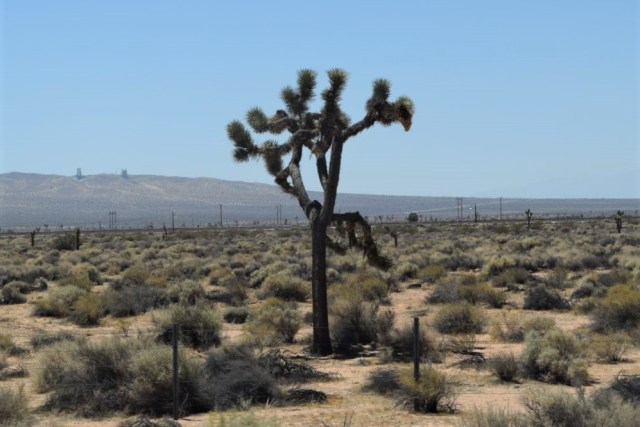 Resa Three Rivers - Kingman 27