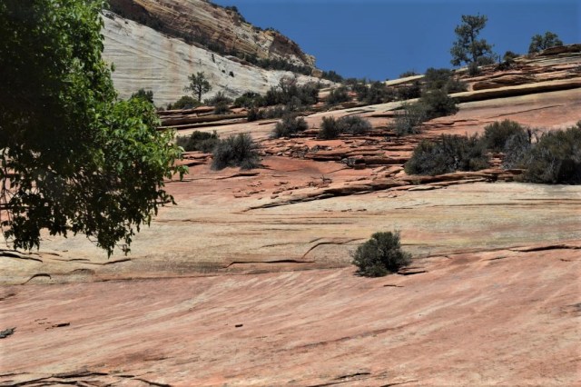 1Zion National Park, resan in 15