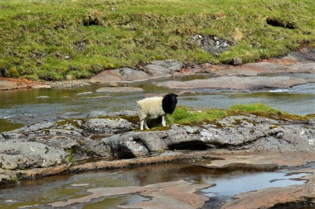 2Vägen till Saksun 3