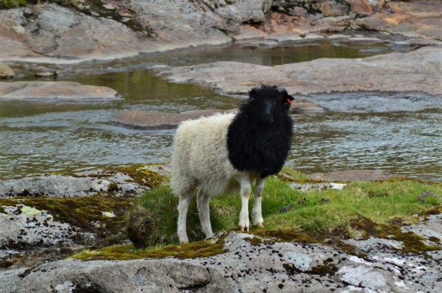 2Vägen till Saksun 7