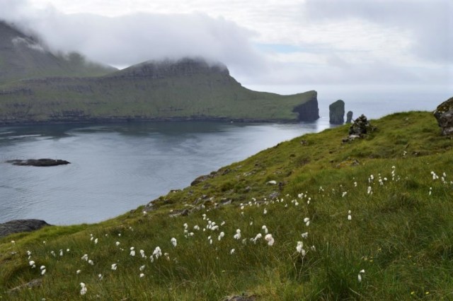 3Gasadalur - Bour 103