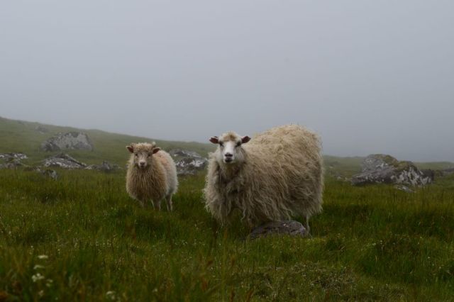 3Gasadalur - Bour 68