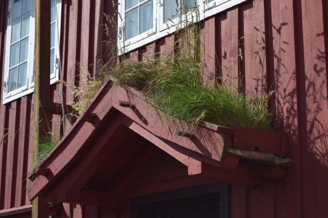 3Torshavn, Tinganes 19