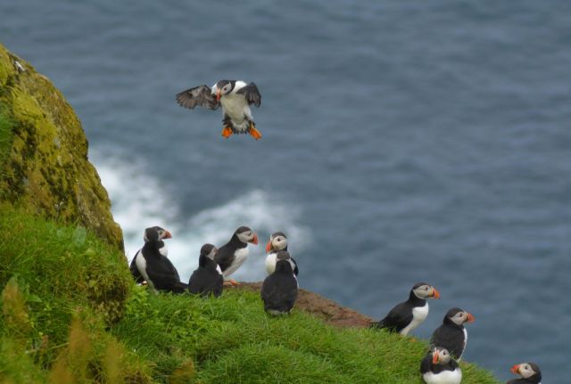 4Vandring Mykinesholmur 27