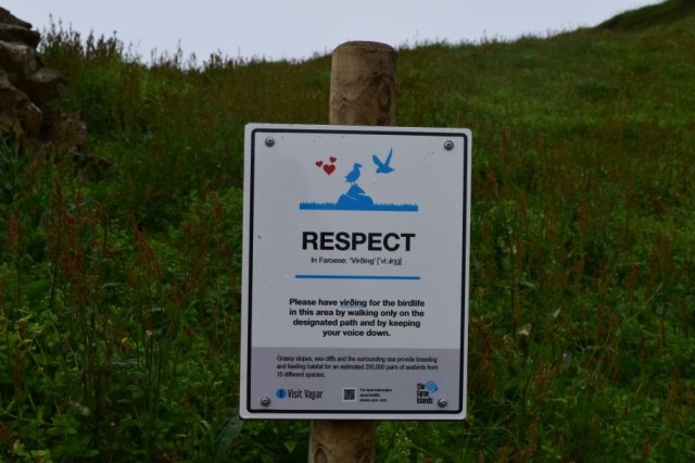 4Vandring Mykinesholmur 6