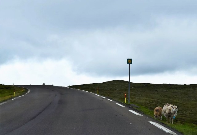 5Eysteroy, mot AEduvik 4