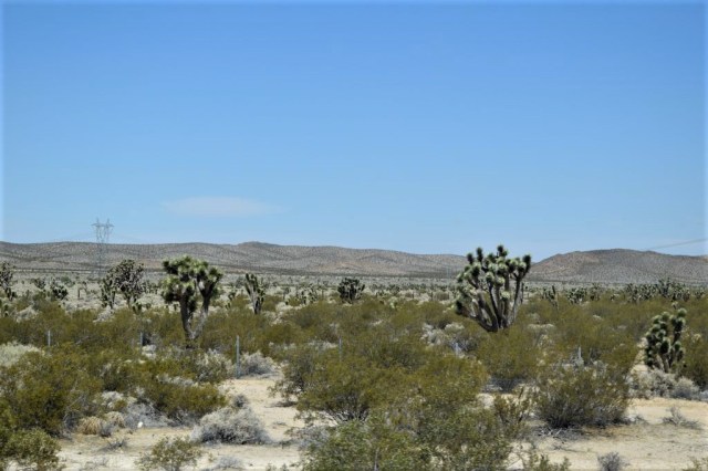 Resa Las Vegas - Los Angeles 4