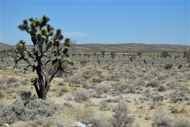 Resa Las Vegas - Los Angeles 5