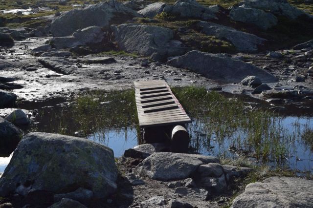 2Vandring till Trolltunga 99