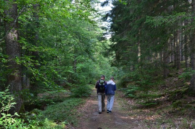 SL1 etapp 4, första försöket 12