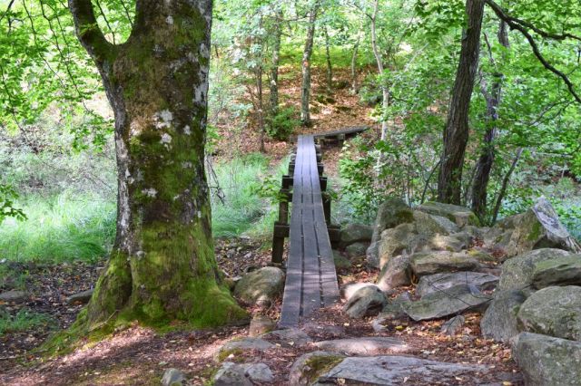 SL1 etapp 4, första försöket 5