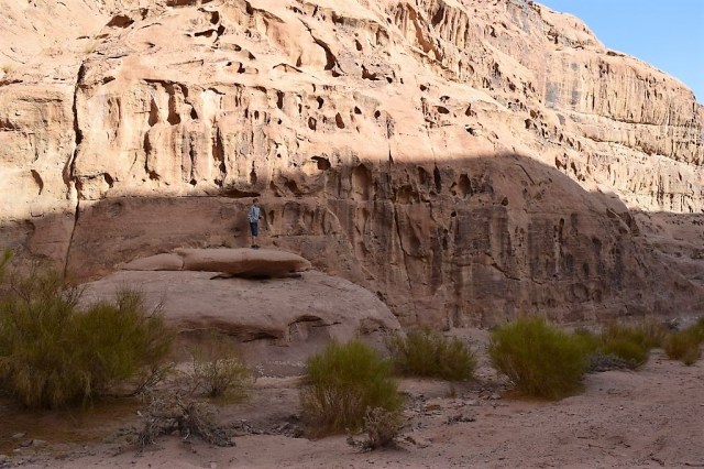 11Wadi Rum 19