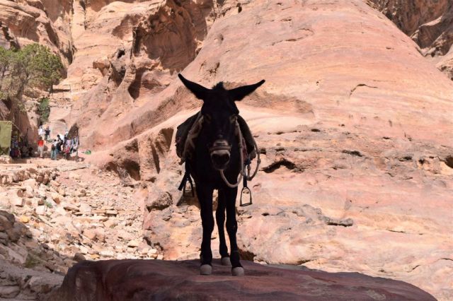 15Monastery Trail 12