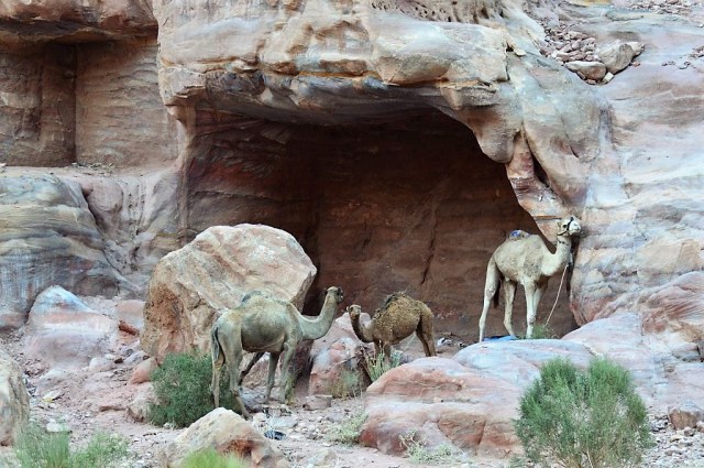 7Street of Facades 15