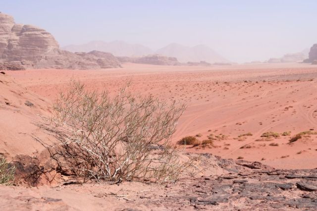 8Wadi Rum 7